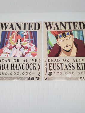One Piece Dead or Alive, Boa Hancock & Eustass Kidd, 8x12 Glossy